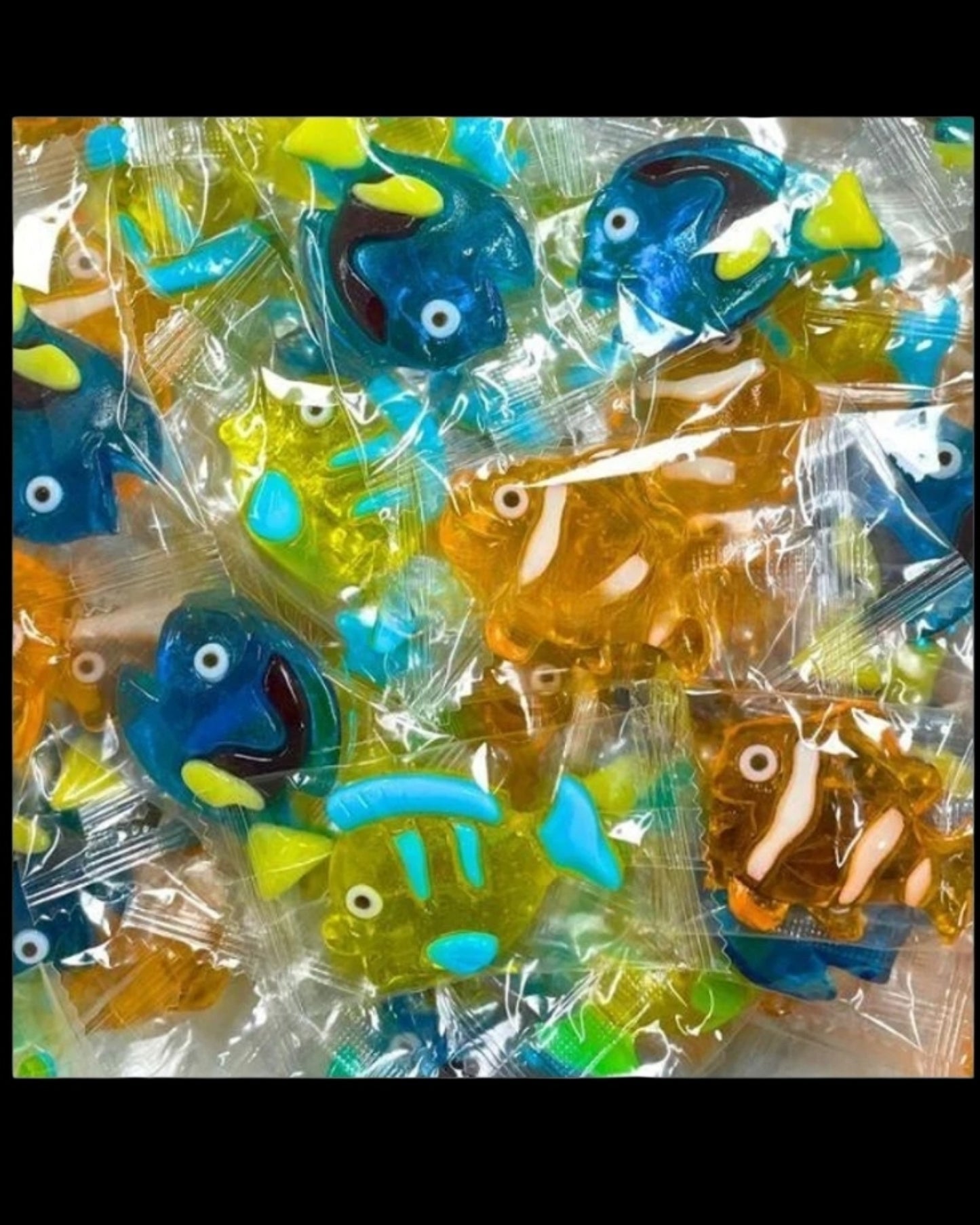 Juicy Jelly 3D Tropical Fish Gummy Hand Made Candy 100g