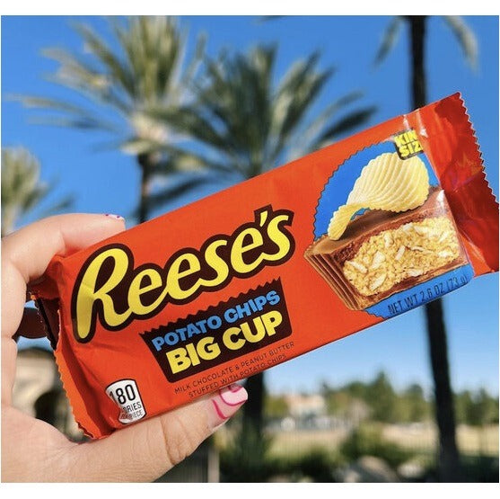 Reese's Reeses Big Cup with Potato Chips King Size Peanut Butter Cups 73g BBD: 30/05/23